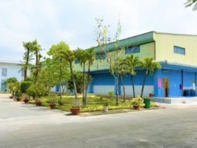 キエンクオン輸出入水産物加工株式会社
