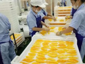 ミーホア農産物加工株式会社