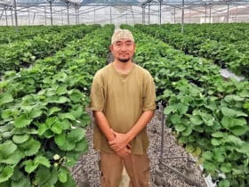 日越農産／那花正次郎