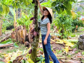 Binon Cacao Park／遠藤亜矢子