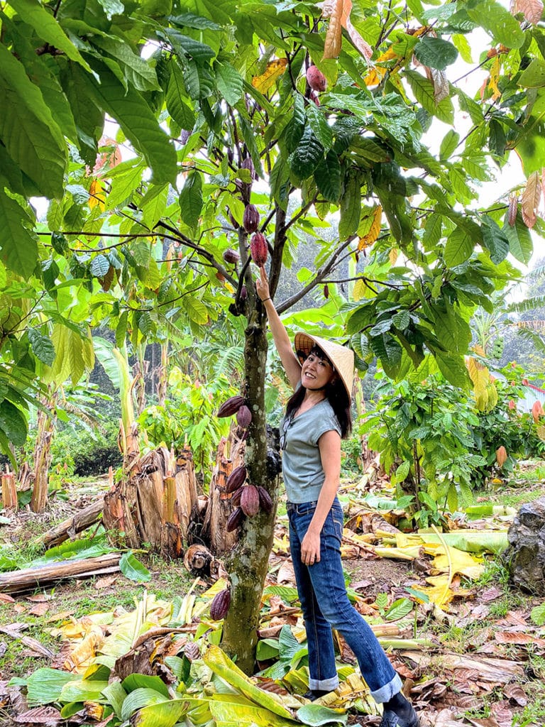 Binon Cacao Park/遠藤亜矢子