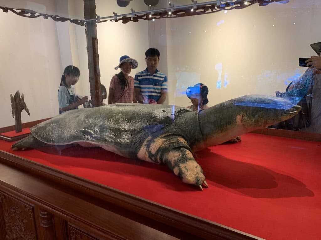 ホアンキエム湖の伝説と生きていた巨大亀