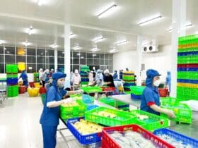 ナムヴァンロン有限会社_工場