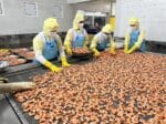 チョンニャンシーフード有限会社_工場内部