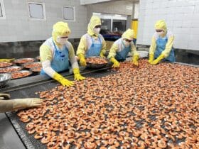 チョンニャンシーフード有限会社_工場内部