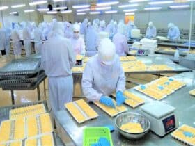 CAMIMEXGROUP株式会社_工場