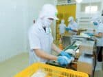 vietnamese-68_AN-VAN-THINH-FOOD-LIMITED-COMPANY_factory_worker